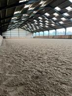 “Pensionstalling” op kleinschalige stal, Dieren en Toebehoren, Weidegang, 2 of 3 paarden of pony's