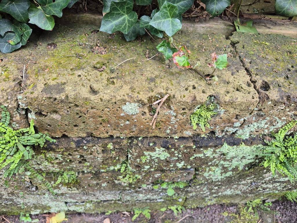 Lava blokken / lava stenen, Ophalen, Beton, Minder dan 5 m², Overige typen