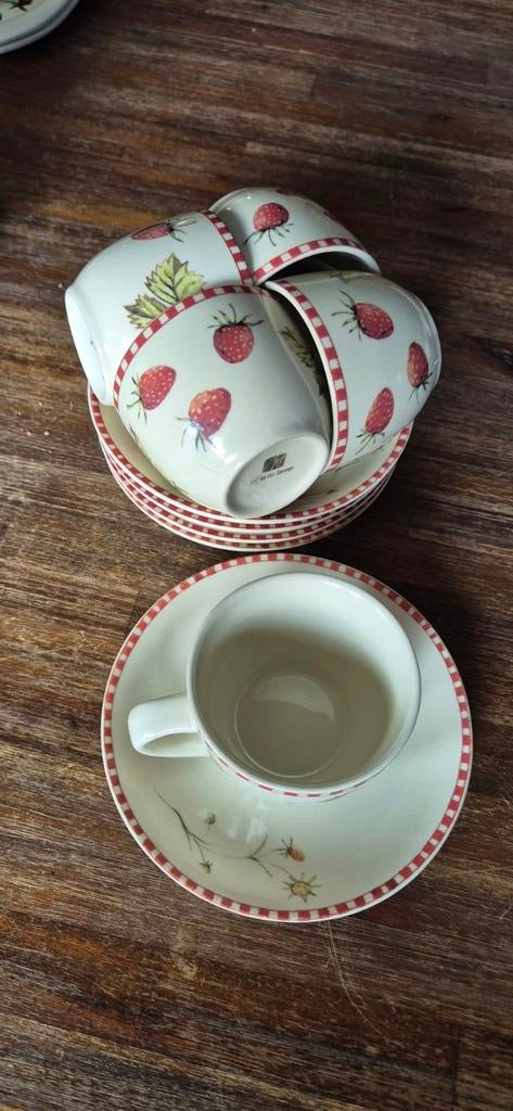 5 Jet by Ter Steege aardbei kop en schotels, Ophalen of Verzenden, Zo goed als nieuw, Overige stijlen, Kop(pen) en/of Schotel(s)