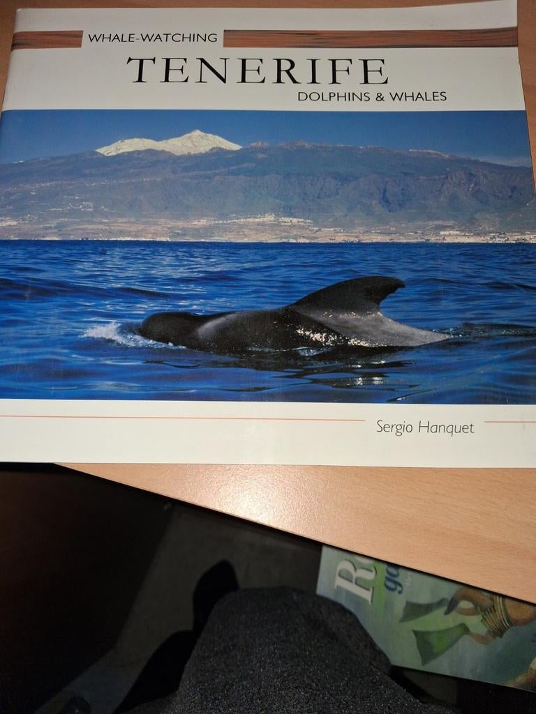 Walvis spotten op Tenerife - Dolfijnen & Walvissen, Boeken, Reisgidsen, Overige merken, Sergio Hanquet, Europa, Ophalen of Verzenden