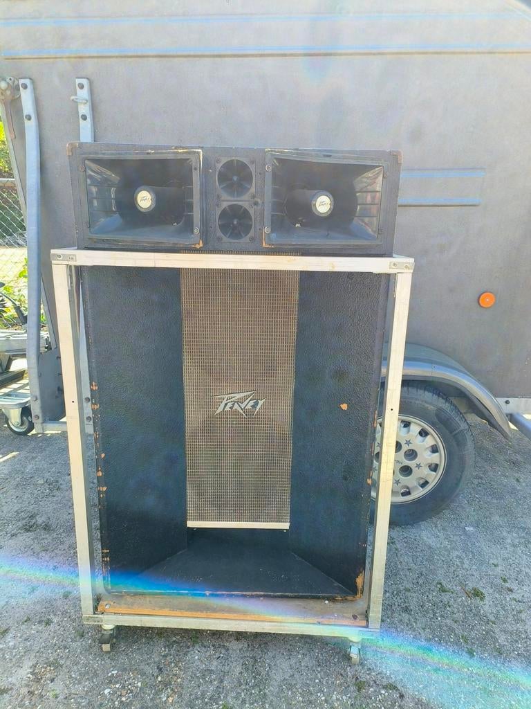 2x Peavey Vocal proj. 215 ht, vintage, Ophalen, Minder dan 500 watt