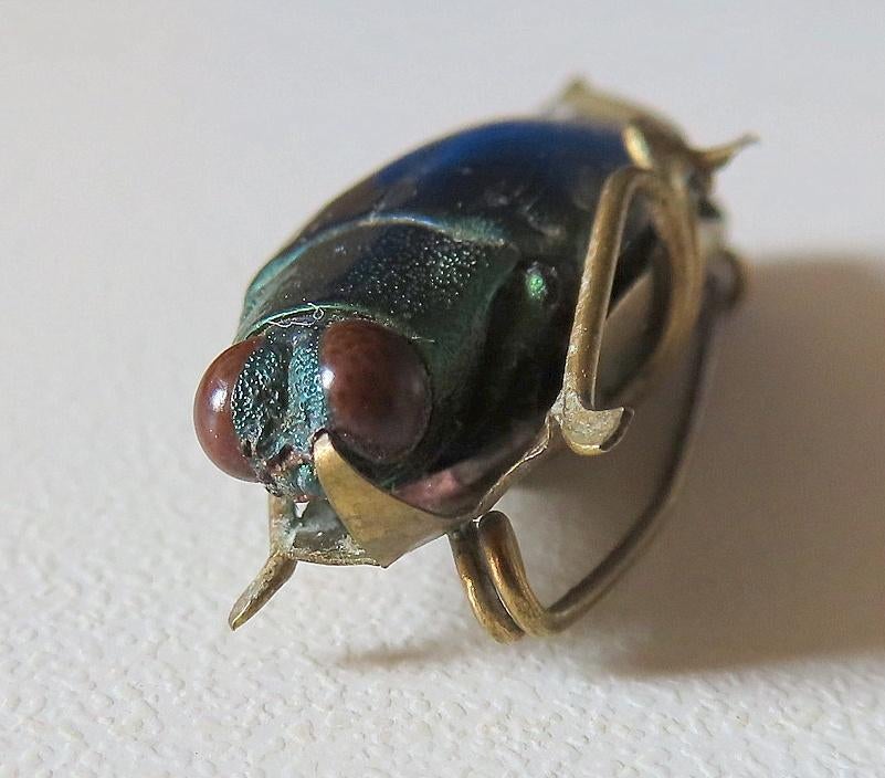 Uit inboedel:Broche met echte iriserende juweelkever, victor, Verzenden, Overige materialen, Broche