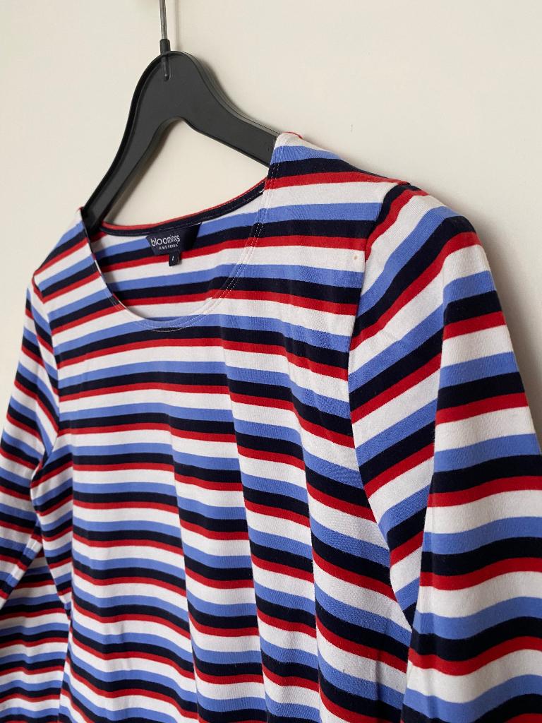 Shirt, lange mouw, gestreept, Blauw, Maat 42/44 (L), Ophalen of Verzenden, Onbekend