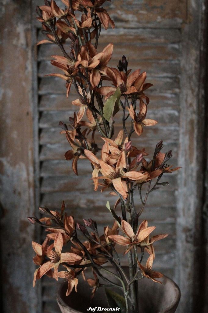 Magnolia stel. orange zijdebloemen, zijdetak, bloemen, Www.jufbrocante.nl, Www.jufbrocante.nl, Nieuw, Ophalen of Verzenden