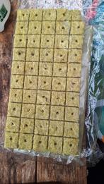 225 zaaikubussen / soil blocks voor kweek, Ophalen