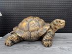 schildpad (goud/zwart) 23hoog 60breed/Nieuw!, Verzamelen, Beelden en Beeldjes, Ophalen, Nieuw, Dier