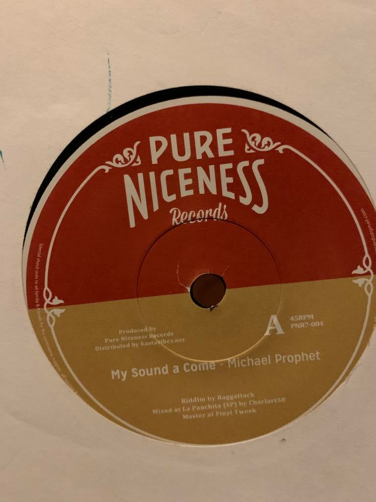 10 x 7” reggae & rub a dub, Ophalen of Verzenden, Gebruikt