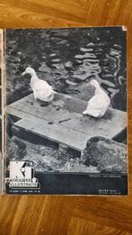 Katholieke Illustratie - 11 april 1940 - No. 28, Boeken, Tijdschriften en Kranten, Ophalen, Gelezen, Lichaam en Geest