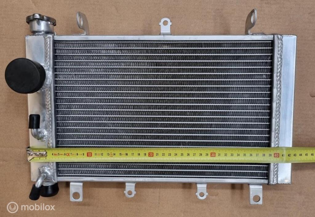 Radiateur for Triumph TT 600 TT600 2000-2003 01 02, Nieuw, Ophalen of Verzenden
