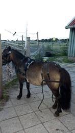 Compleet mentuig met bit maat mini shet +  set zebra, Ophalen, Gebruikt, Recreatie