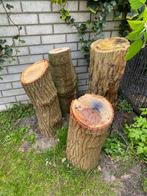 Boomstammen, Minder dan 3 m³, Ophalen of Verzenden, Stammen