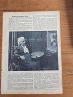 Schilderes Ronner Knip overleden  februari 1909, Ophalen of Verzenden, Voor 1920, Nederland, Knipsel(s)