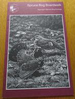 Algonquin Park Spruce Bog Boardwalk ( Canada ), Boeken, Ophalen of Verzenden, Nieuw, Wandel- of Recreatiegebieden