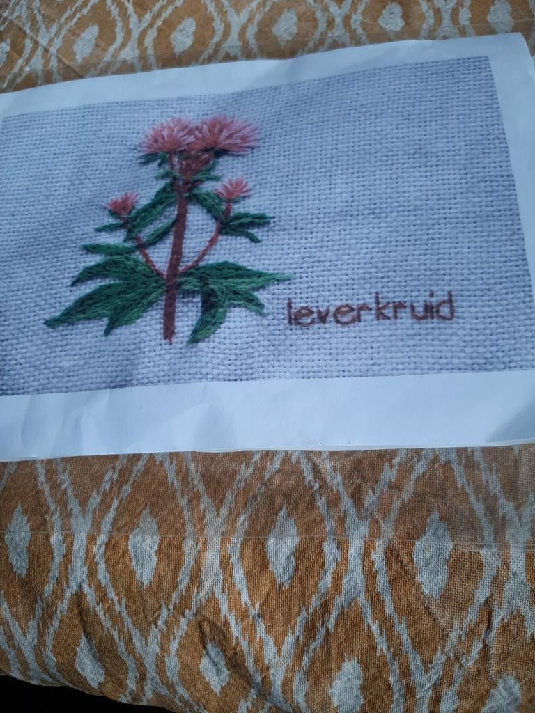 Borduurpakketje leverkruid, Ophalen of Verzenden