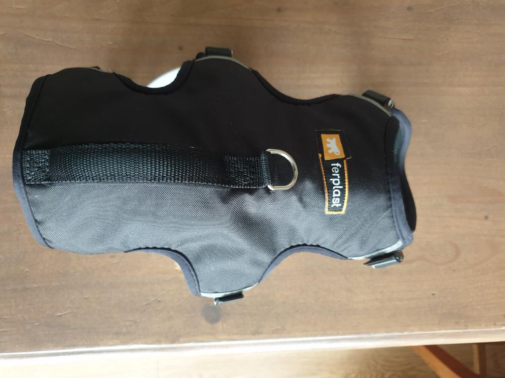 Honden riem, Ophalen of Verzenden