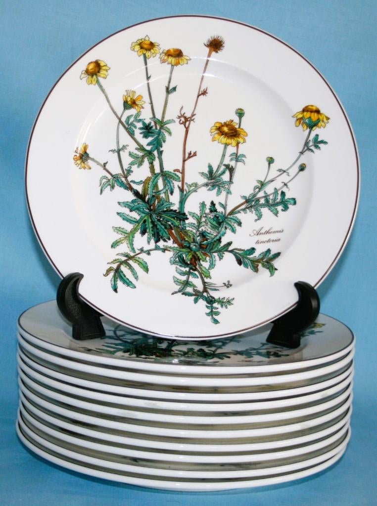 Villeroy & Boch " Botanica " Dinerborden 24cm, Villeroy & Boch, Ophalen of Verzenden, Zo goed als nieuw, 2de Hands