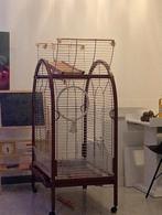 Papegaai kooi, Ophalen of Verzenden, Zo goed als nieuw, Metaal, Vogelkooi