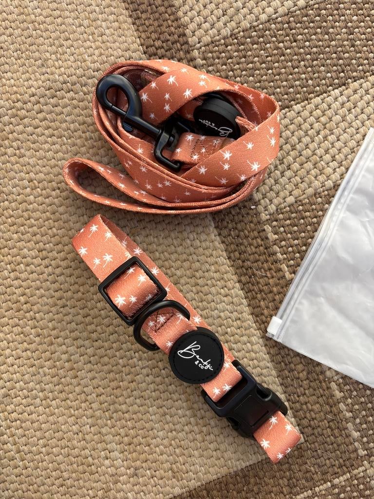 NIEUW halsband + riem maat M/L, Ophalen of Verzenden, Nieuw
