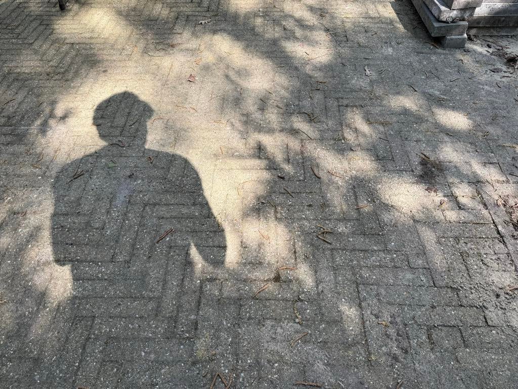 Gratis af te halen: Gebakken klinkers (ca. 25-30m²), Ophalen, Gebruikt, Keramiek, Klinkers