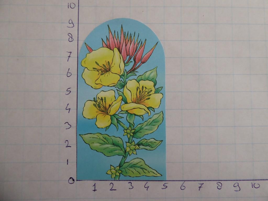 nr. 1593 - uitgeknipt 3d plaatje, Ophalen of Verzenden, Nieuw, Overige thema's, Knipvel