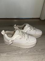 Uggs lo lowmel suede laag, UGG, Verzenden, Beige, Nieuw