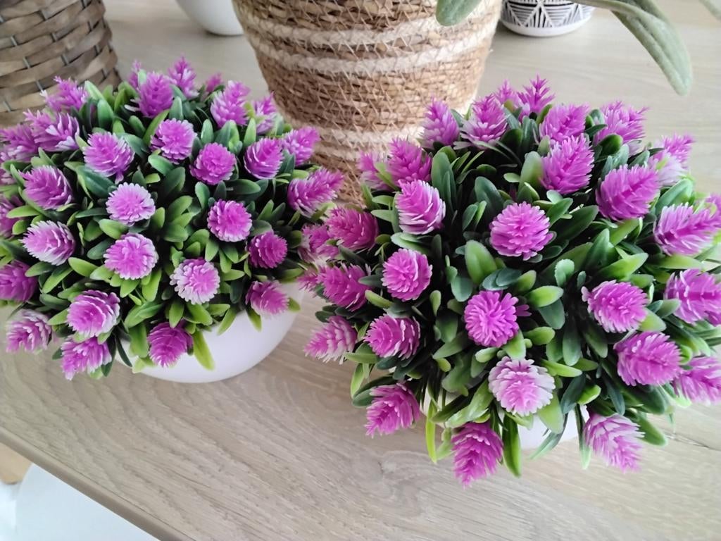 Kunstplanten vele, Huis en Inrichting, Woonaccessoires | Kunstplanten en Kunstbloemen, Ophalen, Kunstplant, Zo goed als nieuw