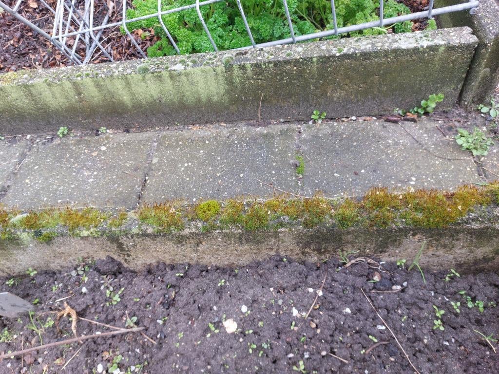 Gevraagd: opsluitbandjes en oude waaltjes                 t, Ophalen, Gebruikt