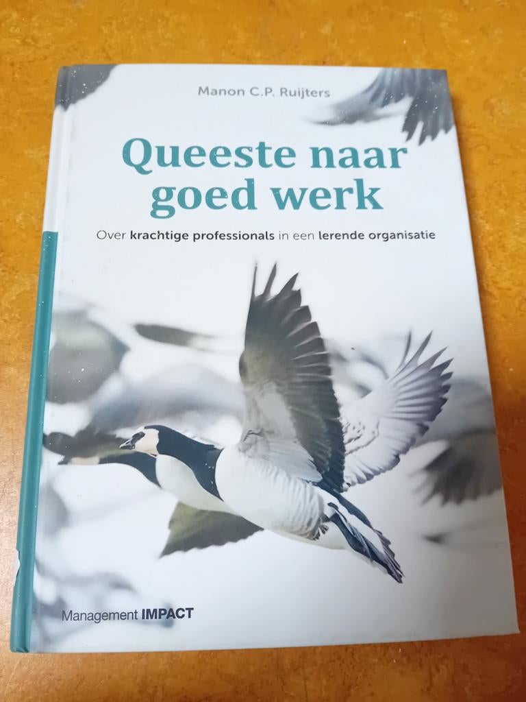 Manon C.P. Ruijters - Queeste naar goed werk, Gelezen, Sociale wetenschap, Ophalen of Verzenden, Manon C.P. Ruijters