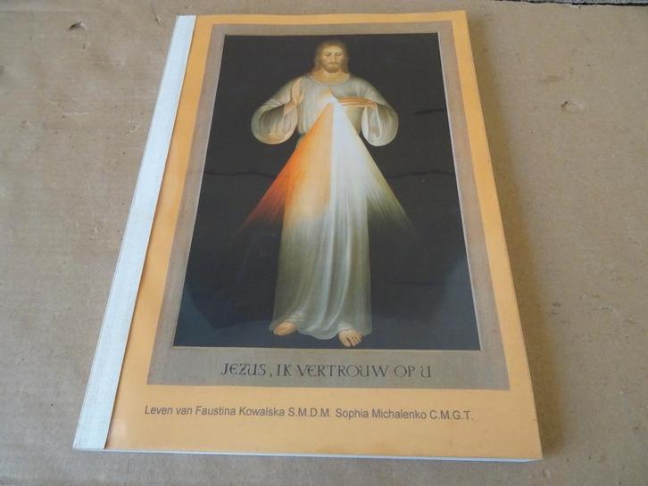 Sophia Michalenko C.M.G.T. Jezus ik vertrouw op U 1e dr 1995, Boeken, Godsdienst en Theologie, Zo goed als nieuw, Christendom | Katholiek