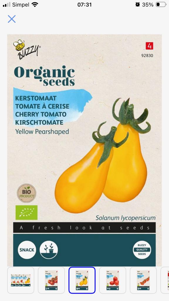 Bio Tomaat plant - Yellow Pearshaped kleine kerstomaten, Ophalen, Gehele jaar, Volle zon