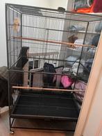 Grote vogelkooi te koop – zo goed als nieuw!, Dieren en Toebehoren, Ophalen, Zo goed als nieuw, Metaal, Vogelkooi