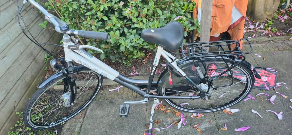 Raleigh damesfiets, Ophalen of Verzenden