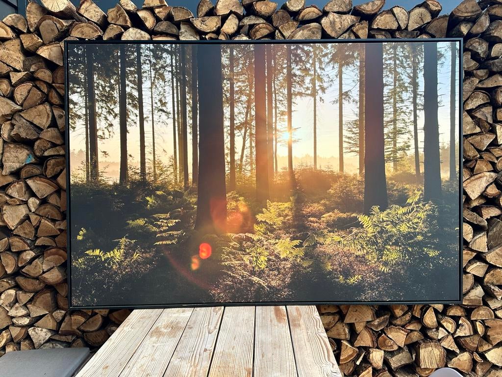 Groot schilderij van bos met zonsopkomst, Huis en Inrichting, Ophalen, 125 cm of meer, Zo goed als nieuw, Schilderij