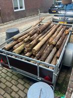 Rondhout / Sjorhout, Gebruikt, 25 tot 50 mm, Overige typen, Ophalen