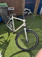 Koga Venya 6.0, Gebruikt, Versnellingen, 57 tot 61 cm, Ophalen