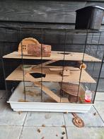 Hamsterkooi inclusief toebehoren, Kooi, Minder dan 75 cm, Cavia, Ophalen
