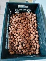 Bio walnoten oogst 2025, Ophalen of Verzenden