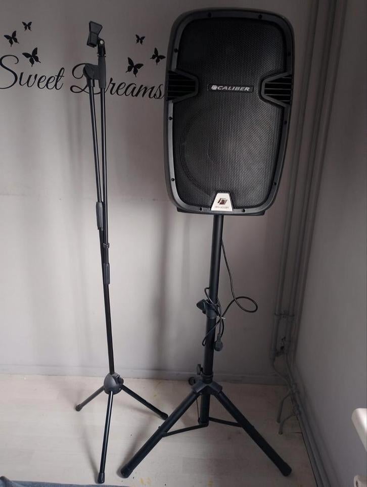 Party Large Bluetooth Party speaker incl 2 microfoons, Muziek en Instrumenten, Standaards, Ophalen, Zo goed als nieuw, Speaker