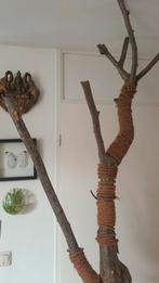 Krabpaal • krabboom 240, Ophalen, Speelgoed