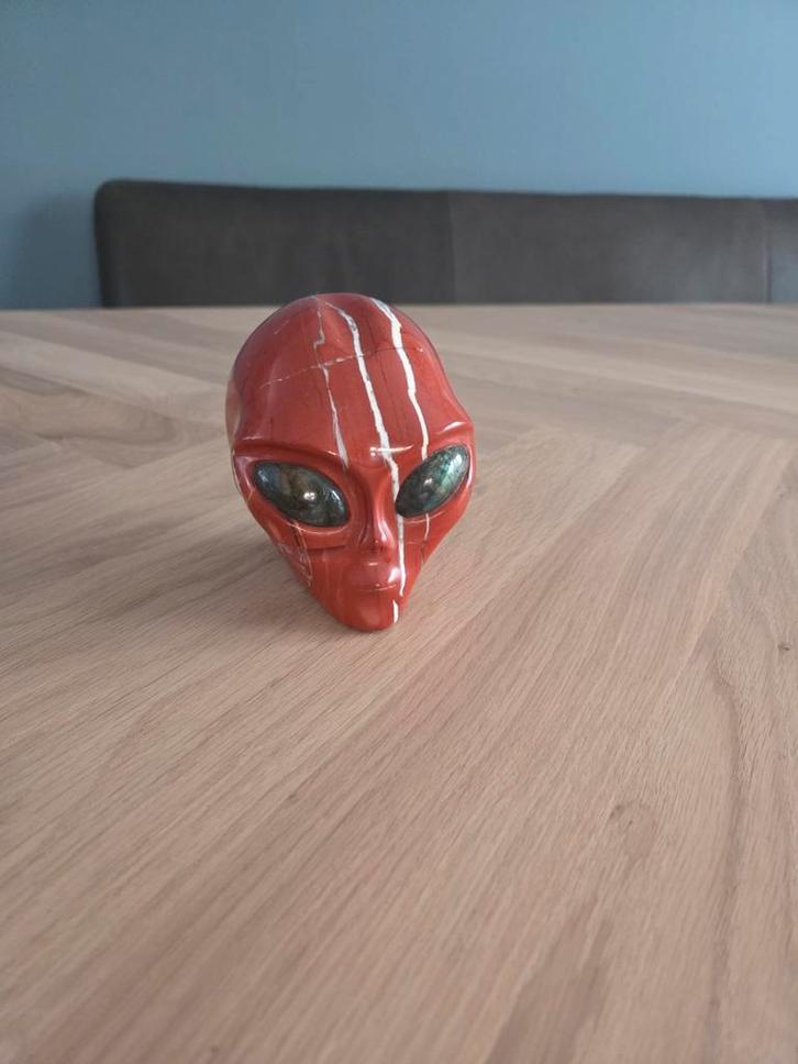 Rode Jaspis Alien Schedel, Sieraden, Tassen en Uiterlijk, Edelstenen, Ophalen of Verzenden