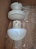 Plafondlamp met ventilator, Ophalen, Gebruikt
