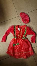 Pieten outfit voor kinderen 4-6jr maat 110/116, Kinderen en Baby's, Carnavalskleding en Verkleedspullen, Ophalen, 110 t/m 116
