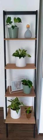 Ladderkast met 4 planken, Ophalen, Zo goed als nieuw