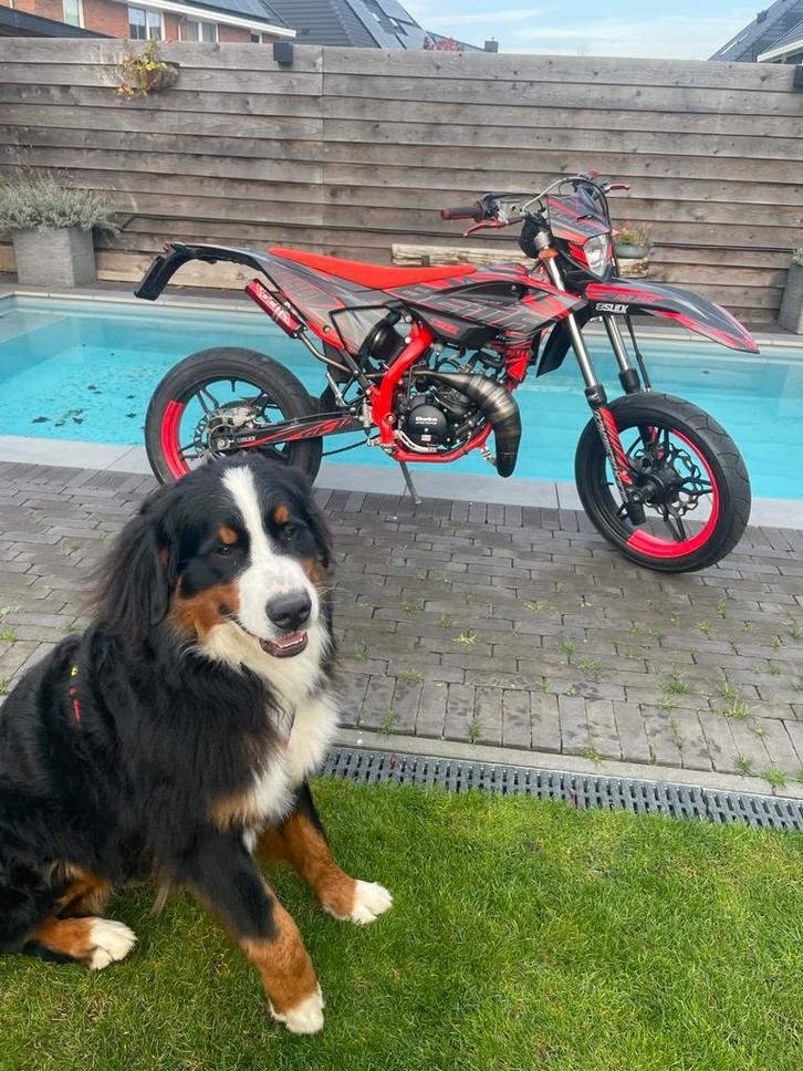 Beta RR 50 Sport 2024, Fietsen en Brommers, Brommers | Overige merken, Zo goed als nieuw, Maximaal 45 km/u, Ophalen