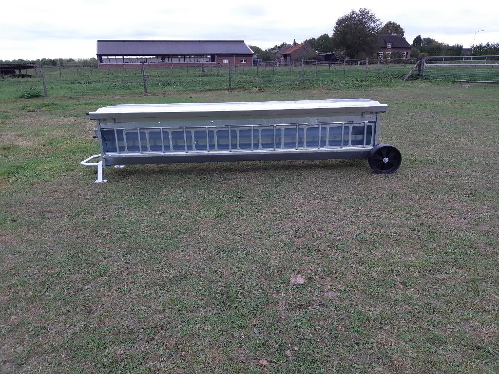 Creepfeeders twee maten, Dieren en Toebehoren, Mannelijk, Schaap