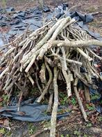 Openhaardhout Beuk, Minder dan 3 m³, Ophalen, Beukenhout, Stammen