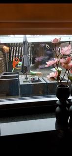 Loungeset, Tuin en Terras, Tuinsets en Loungesets, Ophalen, 4 zitplaatsen, Gebruikt, Hocker
