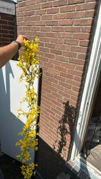 Bloemen guirlande 200cm lang heb er totaal 6 beschikbaar, Ophalen, Zo goed als nieuw
