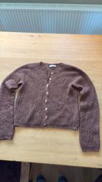 Vanilia vest bruin 38, Kleding | Dames, Truien en Vesten, Maat 38/40 (M), Bruin, Vanilia, Nieuw