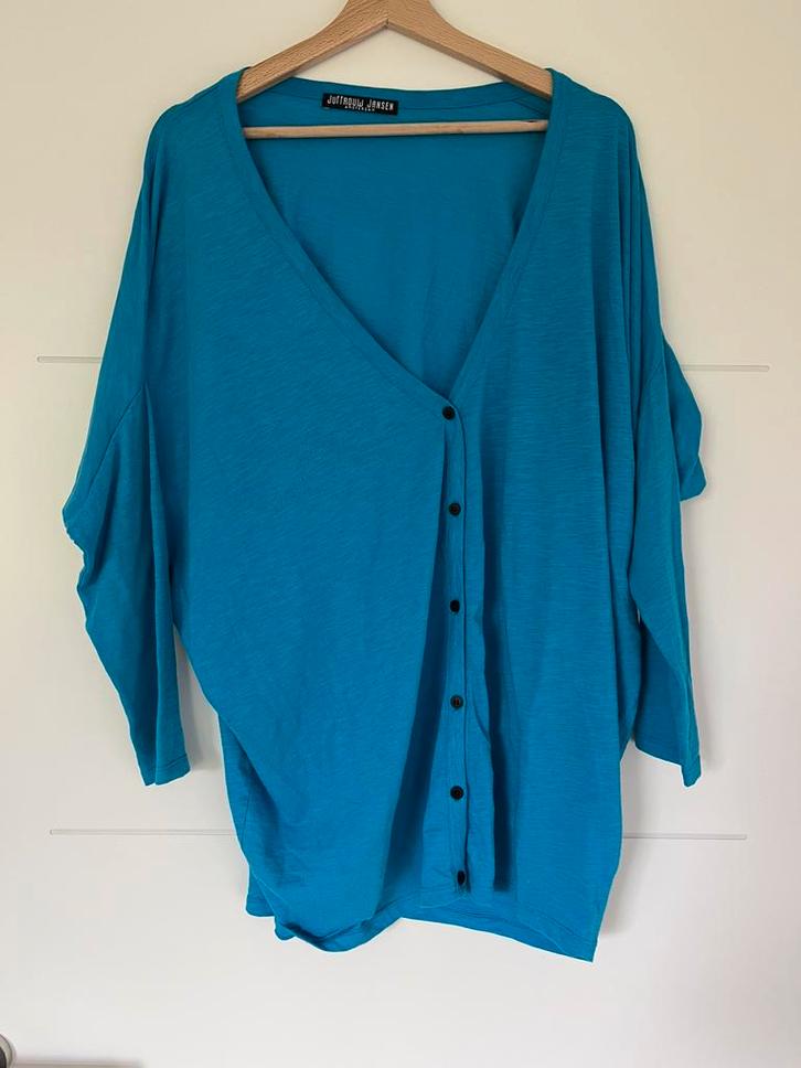 Blauw vest juffrouw jansen- maat L, Kleding | Dames, Grote Maten, Gedragen, Trui of Vest, Blauw, Ophalen of Verzenden